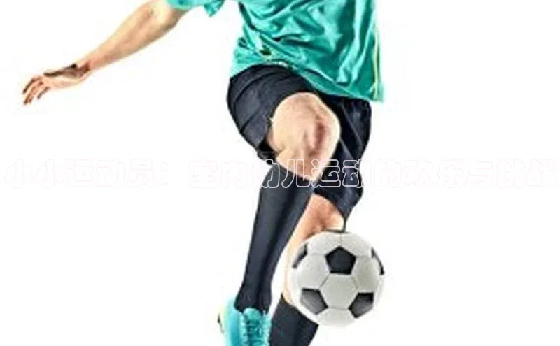 欧陆注册手机版