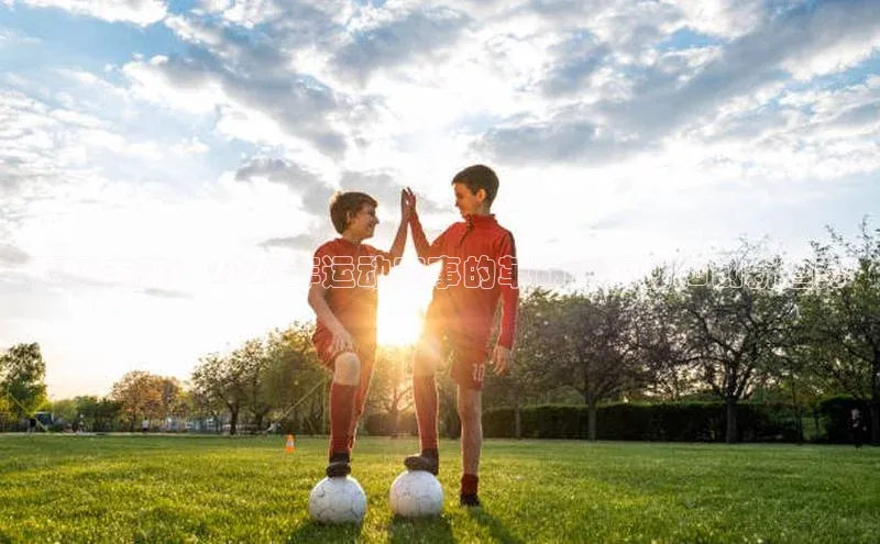欧陆app登录